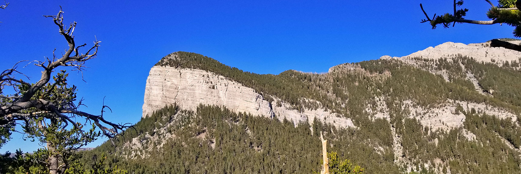 View from High Ridge on North Loop Trail, Mummy Mountain's Toe, Mt. Charleston Wilderness, Nevada