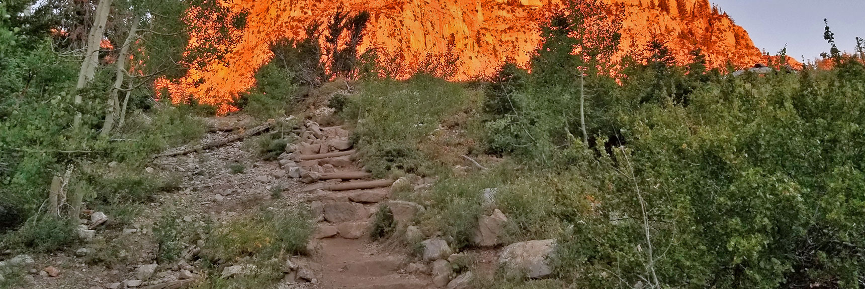 Endless Stairway on South Climb Trail | Griffith Peak & Charleston Peak Circuit Run, Spring Mountains, Nevada