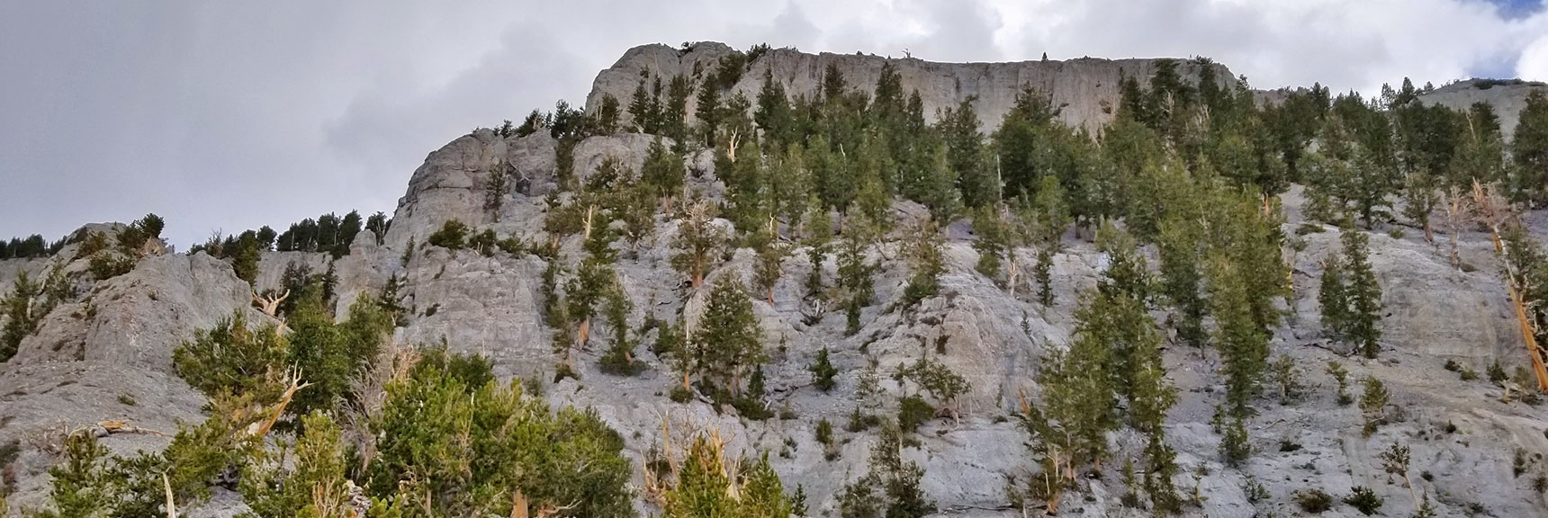 Mummy Mountain Eastern Cliff and Ridge | Mummy Mountain NNE, Mt. Charleston Wilderness, Nevada, Slide 024