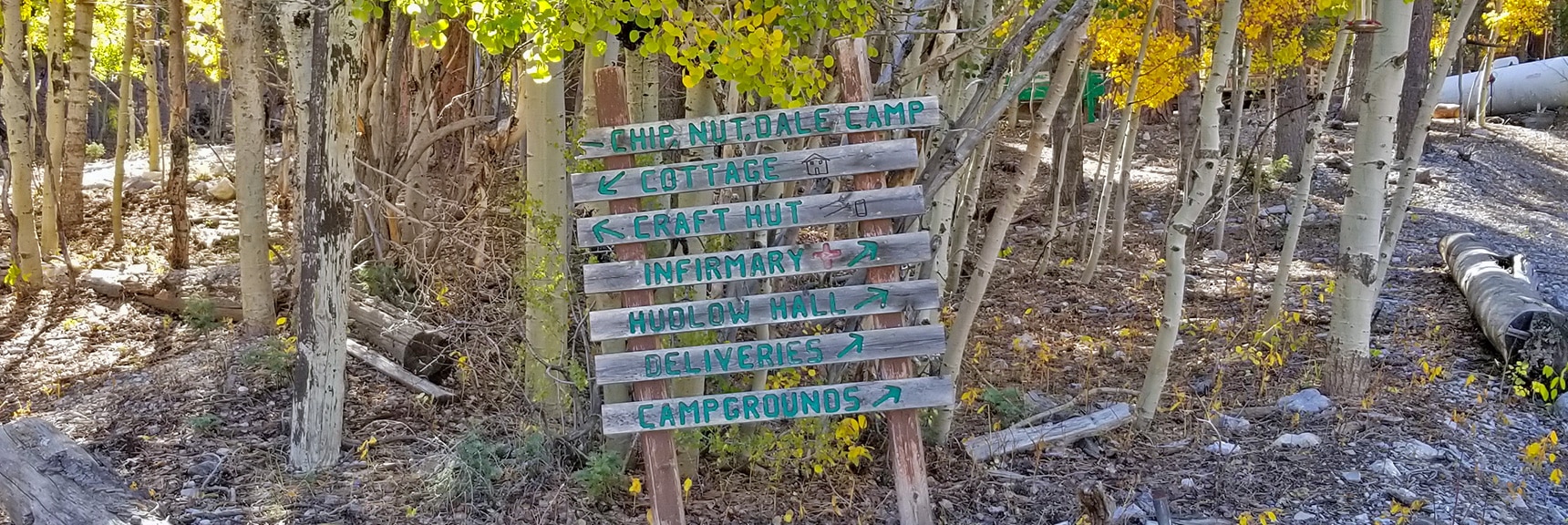 Camp Foxtail Girl Scouts Camp Directional Signs | Foxtail Canyon | Foxtail Girl Scouts Camp | Mt Charleston Wilderness | Spring Mountains, Nevada