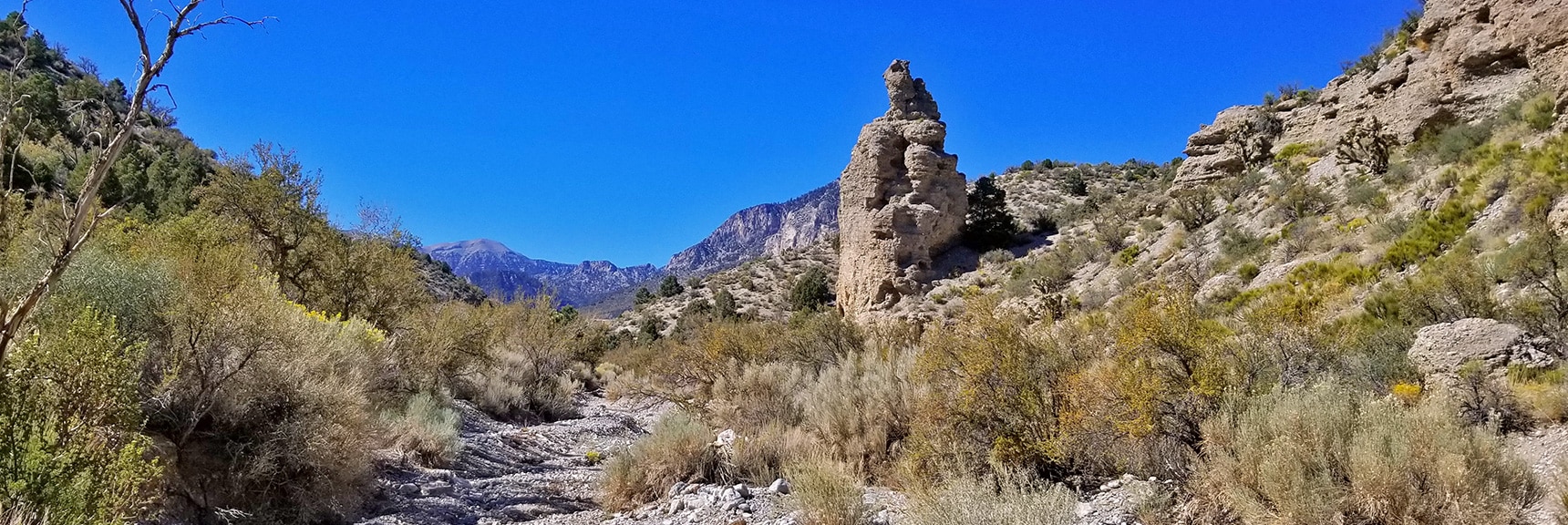 Elaborate Rock Formations in the Canyon. Charleston Peak Visible Ahead | Harris Springs Canyon | Biking from Centennial Hills | Spring Mountains, Nevada