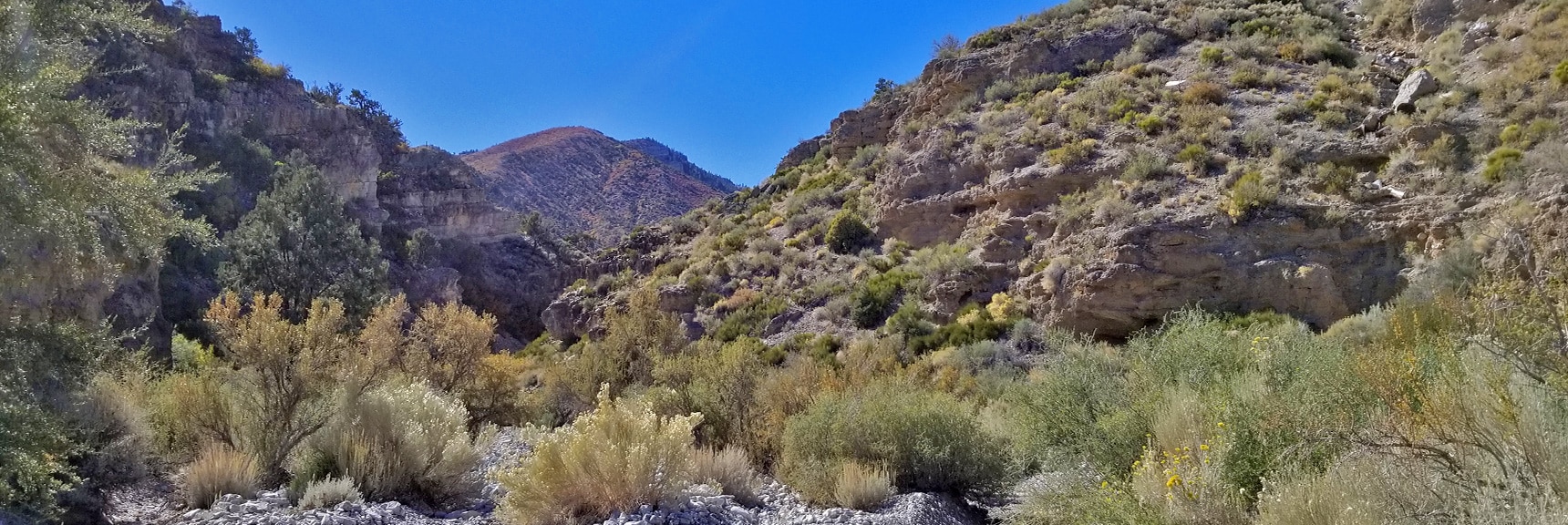 View toward Harris Mountain, Nearing the Upper Opening of the Canyon | Harris Springs Canyon | Biking from Centennial Hills | Spring Mountains, Nevada