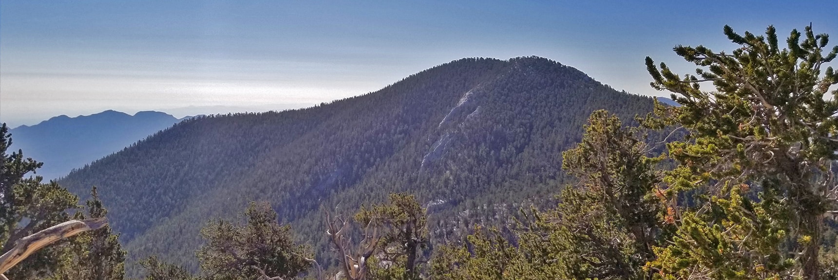 Fletcher Peak and La Madre Mountain Viewed from North Loop High Ridge | Mummy Springs Loop | Mt. Charleston Wilderness | Spring Mountains, Nevada