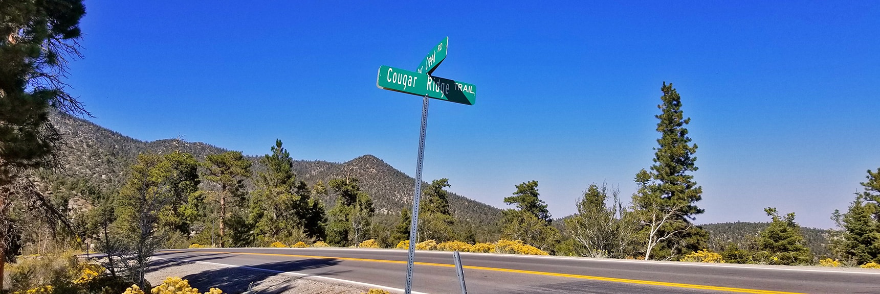 Intersection of Cougar Ridge Trail Road and Deer Creek Road | Mummy Springs Loop | Mt. Charleston Wilderness | Spring Mountains, Nevada