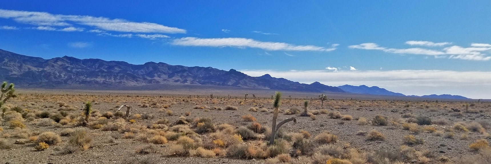 View of the Sheep Range from the Northwest corner to Gass Peak | Lower Alamo Road | Sheep Range | Desert National Wildlife Refuge, Nevada