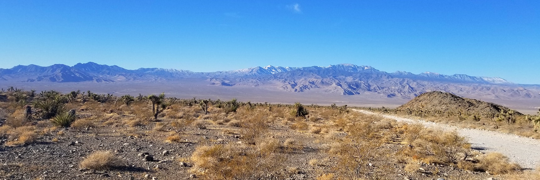 View Down Mormon Well Road Toward Mt. Charleston and La Madre Mountain Wilderness from Intersection of Mormon Well Road and Gass Peak Road | Gass Peak Road Circuit | Desert National Wildlife Refuge | Nevada