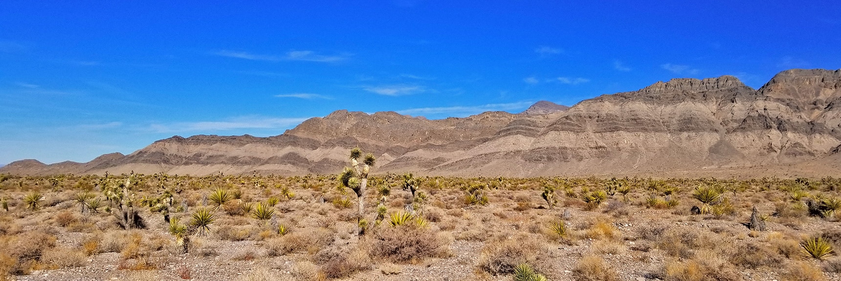 Southwest Side of Fossil Ridge from Gass Peak Road | Gass Peak Road Circuit | Desert National Wildlife Refuge | Nevada