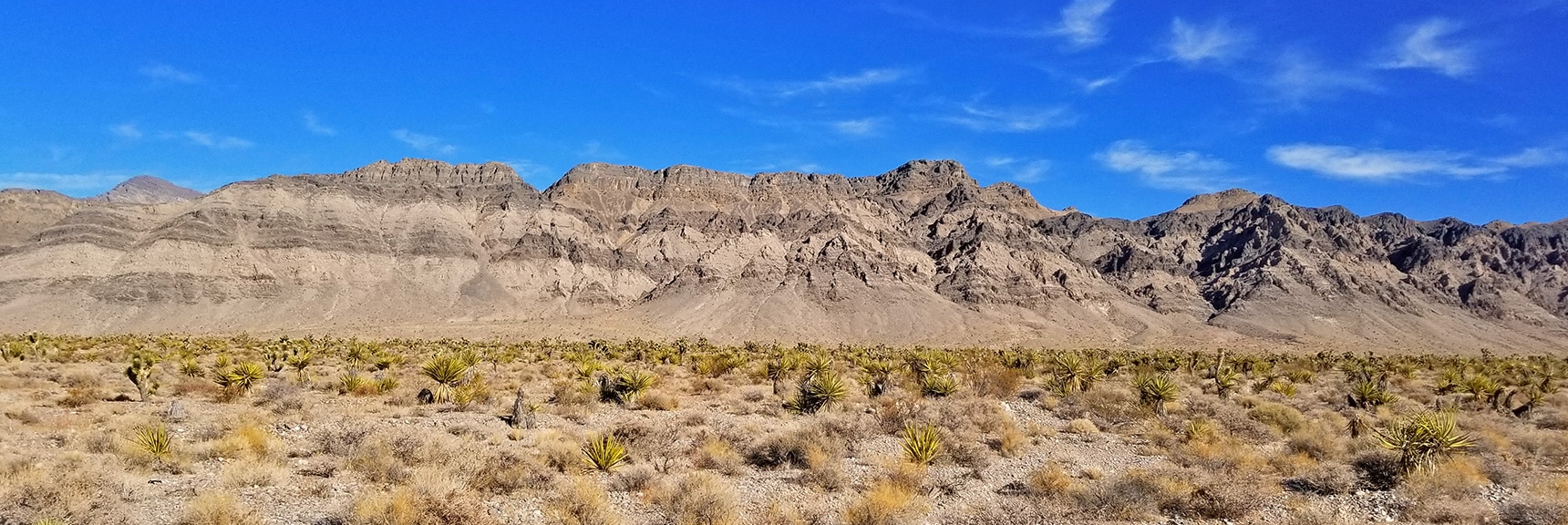 South Side of Fossil Ridge from Gass Peak Road | Gass Peak Road Circuit | Desert National Wildlife Refuge | Nevada