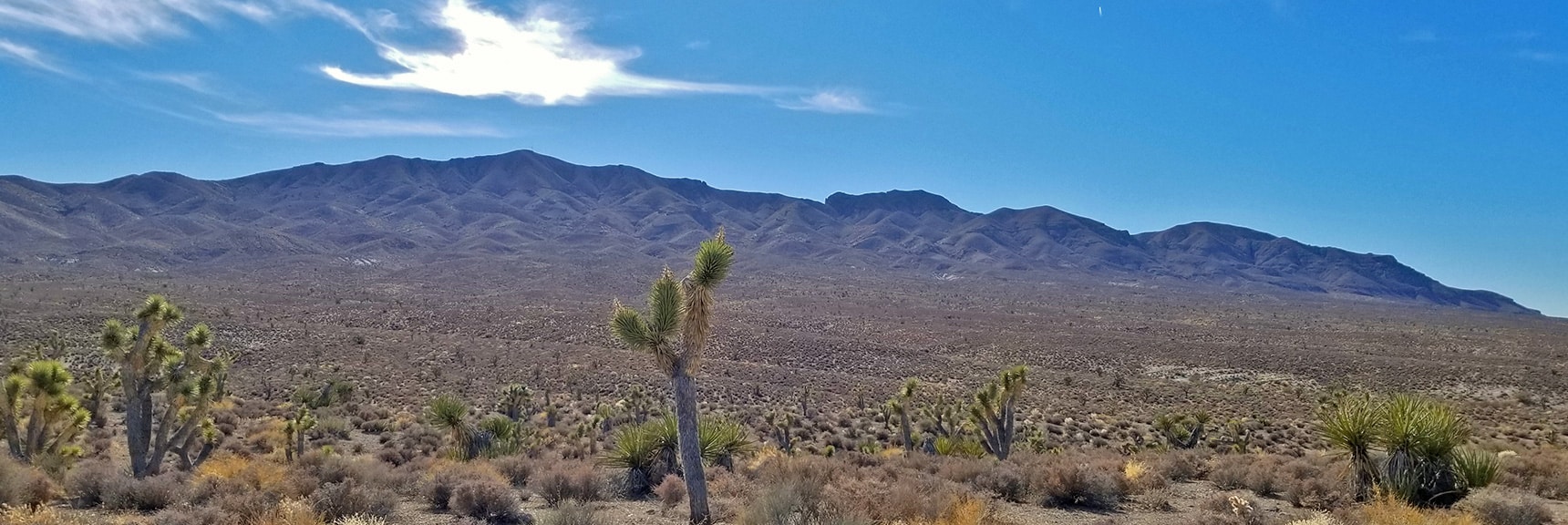North Side of Gass Peak from Gass Peak Road | Gass Peak Road Circuit | Desert National Wildlife Refuge | Nevada