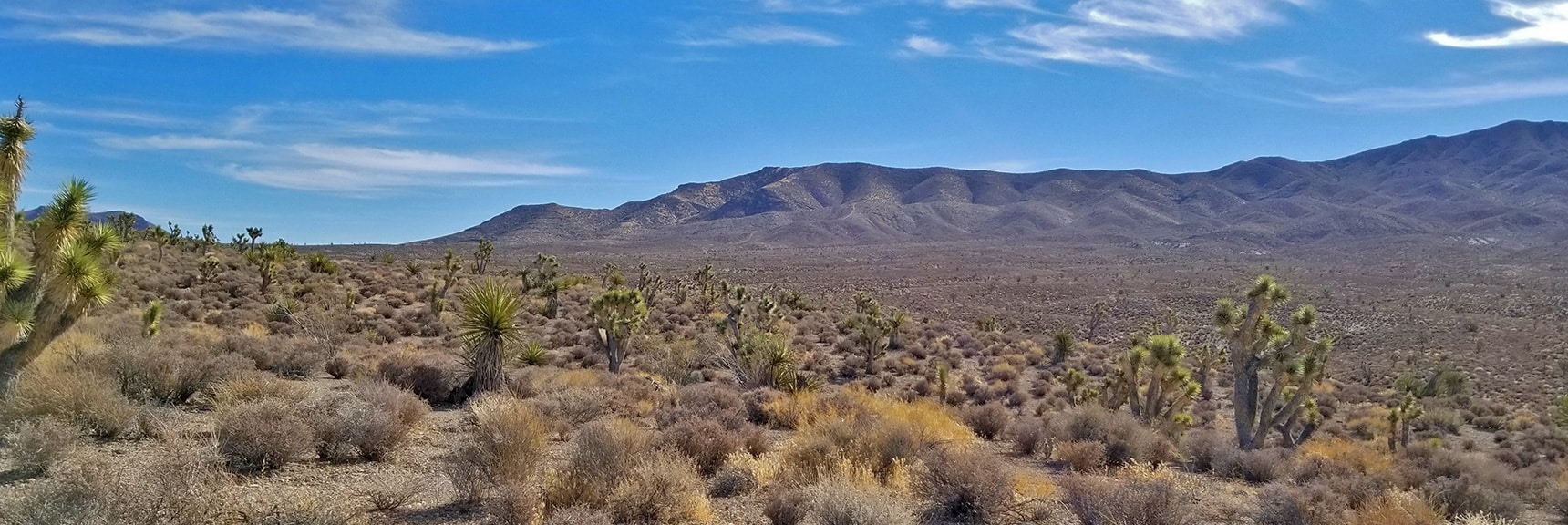 View Toward Northeastern Pass of Gass Peak from Gass Peak Road | Gass Peak Road Circuit | Desert National Wildlife Refuge | Nevada