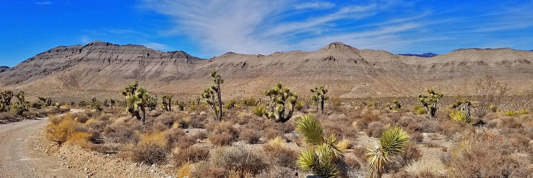 Fossil Ridge Viewed from Gass Peak Road Near Trailhead | Gass Peak Road Circuit | Desert National Wildlife Refuge | Nevada