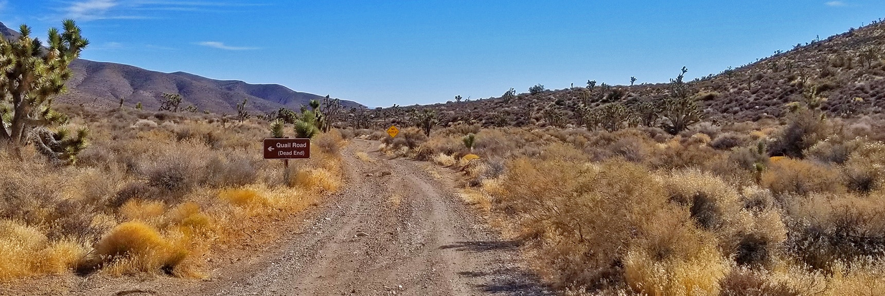 Quail Road Turnoff from Gass Peak Road. All Roads Say "No Outlet" | Gass Peak Road Circuit | Desert National Wildlife Refuge | Nevada