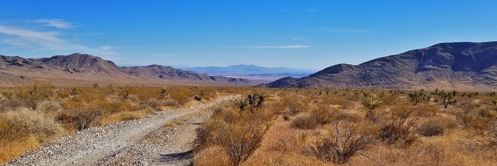 View Down Gass Peak Road Toward Hwy 93 and Valley of Fire Area | Gass Peak Road Circuit | Desert National Wildlife Refuge | Nevada