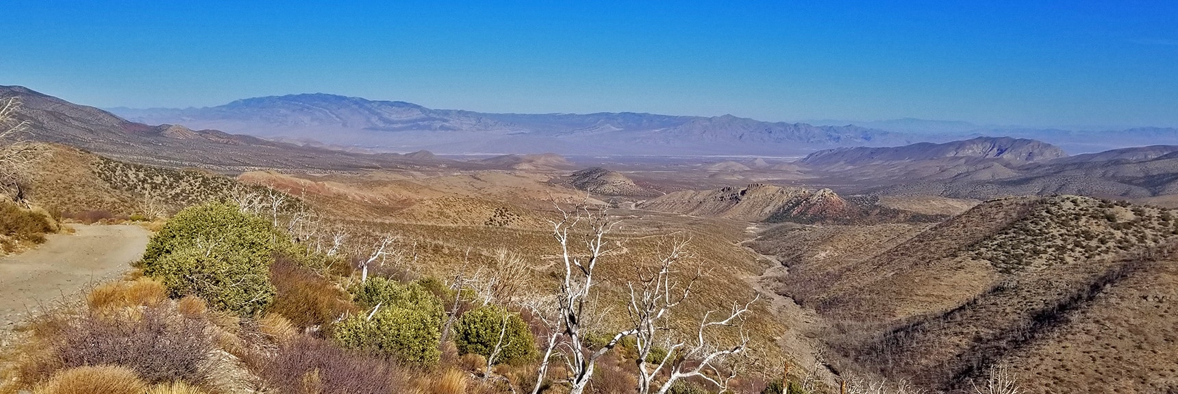 View Down Canyon Toward Sheep Range & Gass Peak from 7,000ft on Harris Mt. Rd.| Harris Springs Rd, Harris Mountain Rd | Spring Mountains Wilderness, Nevada
