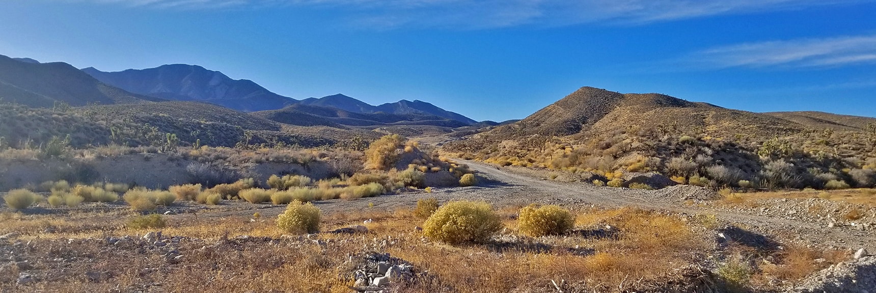View Up Turnoff Toward Northern La Madre Mountains Wilderness Area | Harris Springs Rd, Harris Mountain Rd | Spring Mountains Wilderness, Nevada