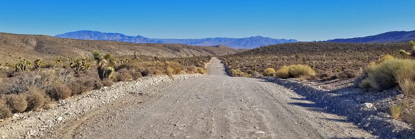 View Back Down Lower Harris Springs Rd Toward Sheep Range and Gass Peak | Harris Springs Rd, Harris Mountain Rd | Spring Mountains Wilderness, Nevada