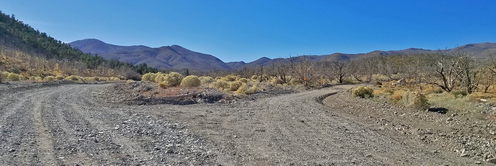 Right Turn Onto Harris Mountain Road. Note the Burn Area. | Harris Springs Rd, Harris Mountain Rd | Spring Mountains Wilderness, Nevada