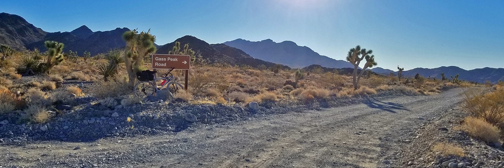 View Down Gass Peak Road, Gass Peak in Background | Lower Mormon Well Road | Sheep Range, Desert National Wildlife Refuge, Nevada