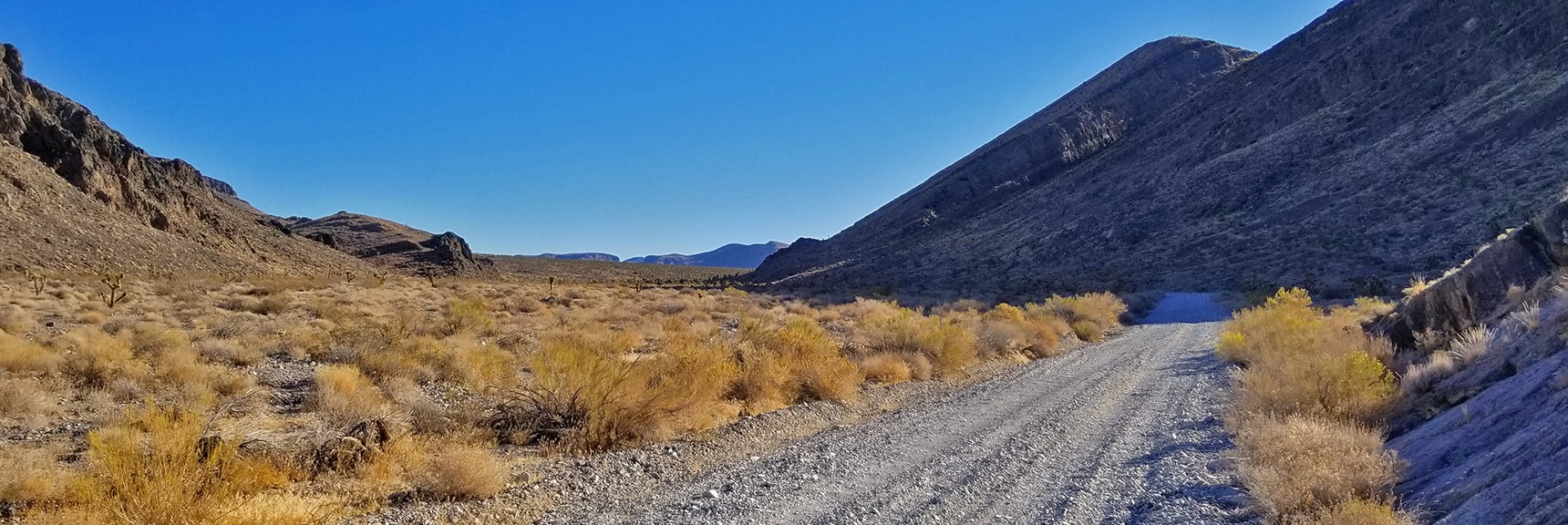 View Through Yucca Gap: Sheep Range to Left, Fossil Ridge to Right | Lower Mormon Well Road | Sheep Range, Desert National Wildlife Refuge, Nevada