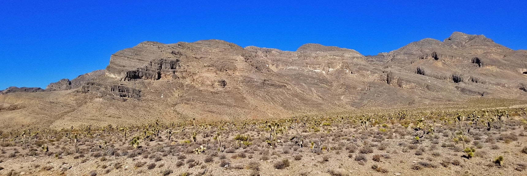 Southern Sheep Range Viewed from Mormon Well Road | Lower Mormon Well Road | Sheep Range, Desert National Wildlife Refuge, Nevada
