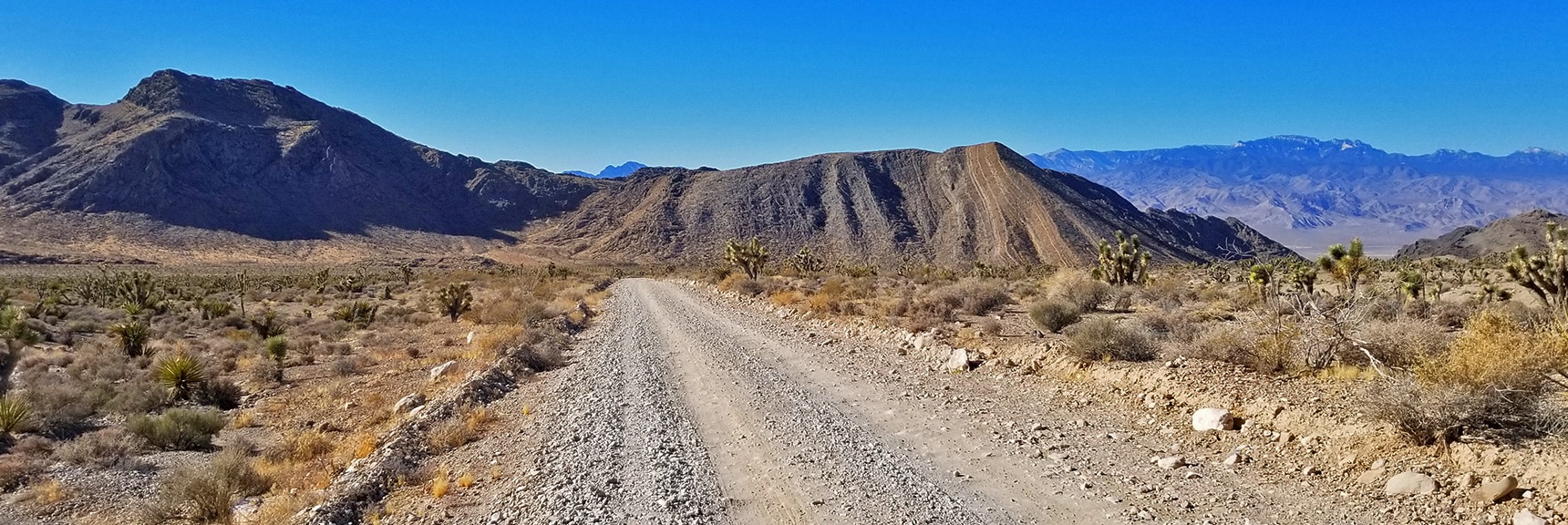 View Down Mormon Well Road Toward Fossil Ridge | Lower Mormon Well Road | Sheep Range, Desert National Wildlife Refuge, Nevada