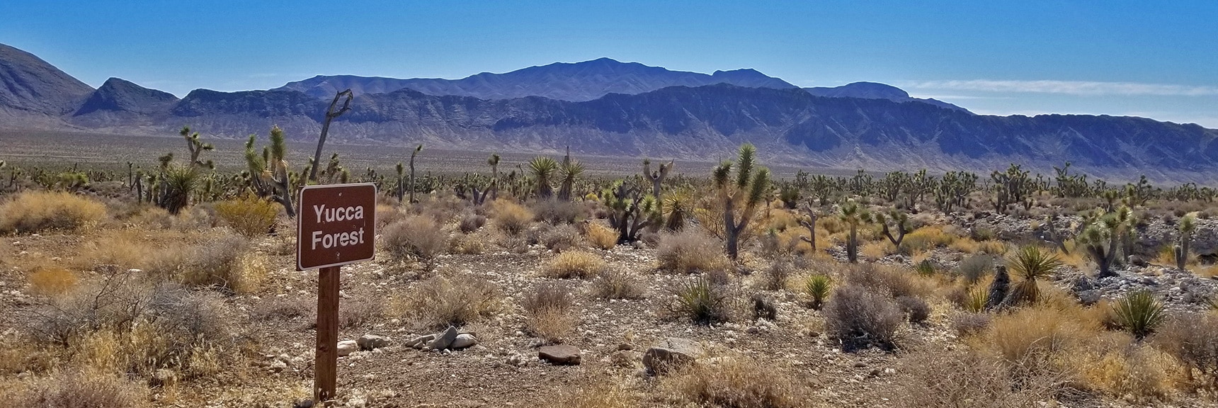 Gass Peak Viewed from Mormon Well Road | Lower Mormon Well Road | Sheep Range, Desert National Wildlife Refuge, Nevada