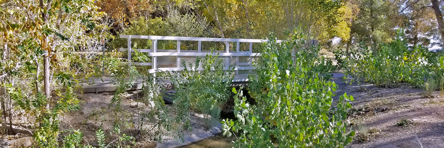 Bridge Over a Stream at Floyd Lamb Park | Centennial Hills Mountain Bike Conditioning Adventure Loop, Las Vegas, Nevada