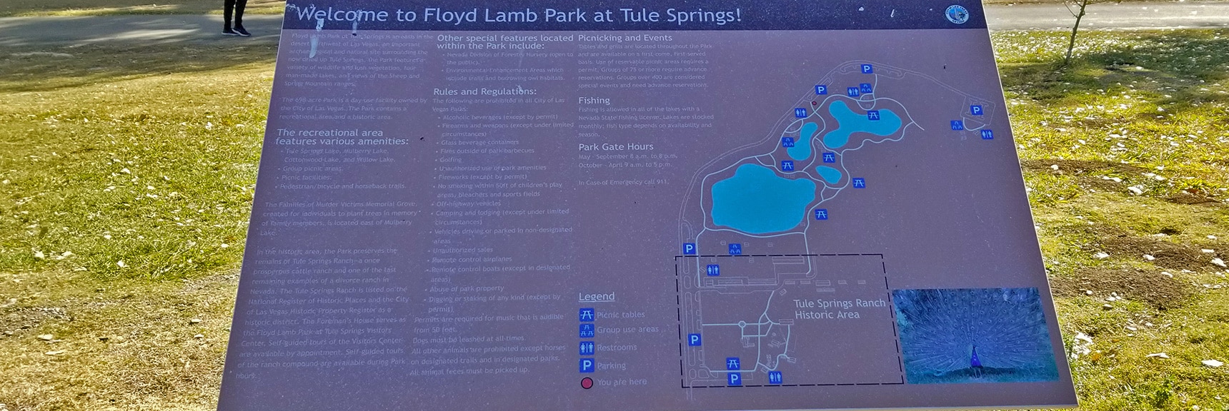 4 Lakes at Floyd Lamb Park | Centennial Hills Mountain Bike Conditioning Adventure Loop, Las Vegas, Nevada