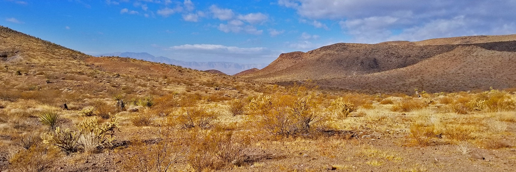 First View Toward the Las Vegas Valley and Across to Red Rock Park Area | McCullough Hills Trail in Sloan Canyon National Conservation Area, Nevada