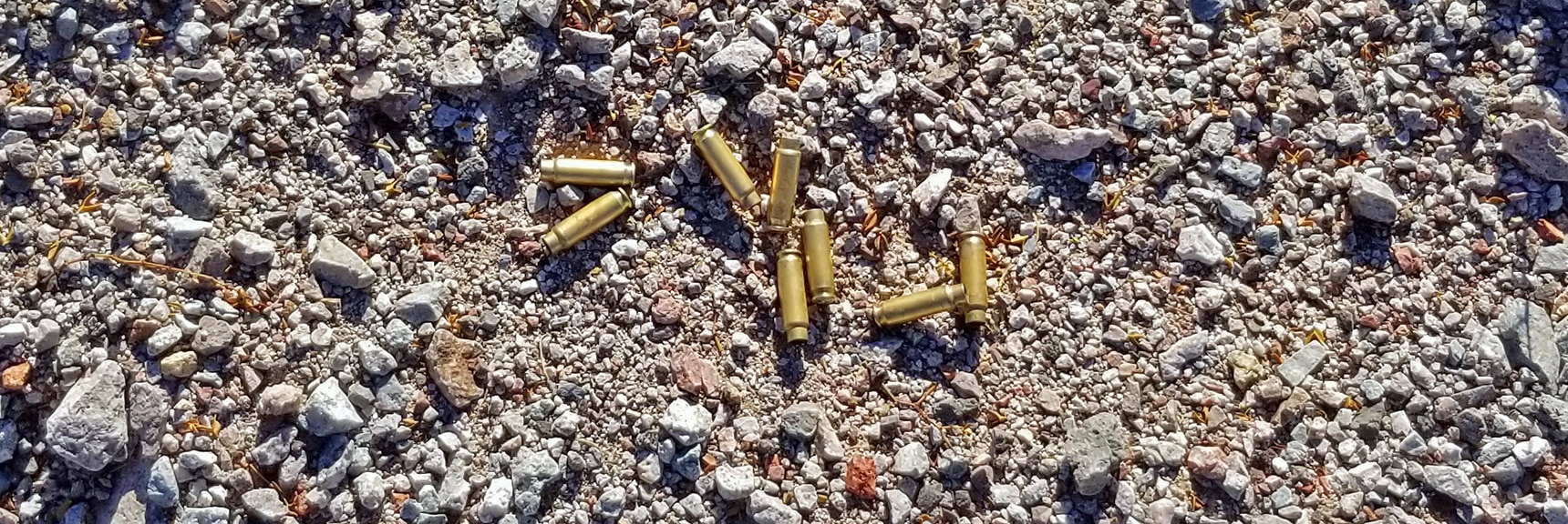 Spent Bullet Casings at Base of "No Shooting Allowed" Sign | Fortification Hill | Lake Mead National Recreation Area, Arizona