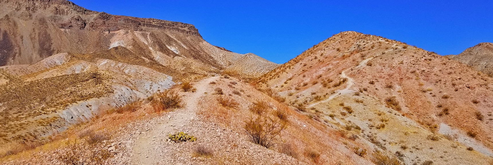 Ascending the High Ridge Trail Toward Fortification Hill | Fortification Hill | Lake Mead National Recreation Area, Arizona