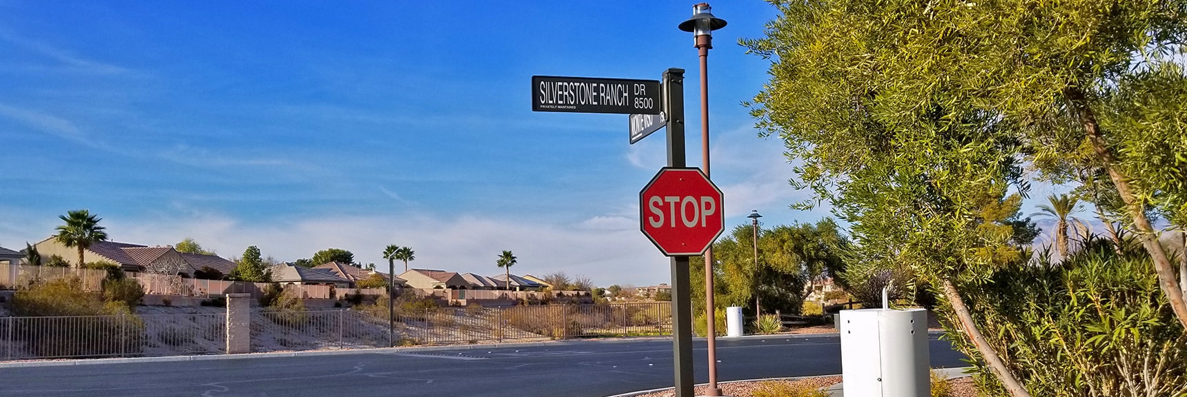 Silverstone Ranch Dr and Monte Viso Dr. Entrance of Palms Estates | Snapshot of Las Vegas Northern Growth Edge on January 3, 2021