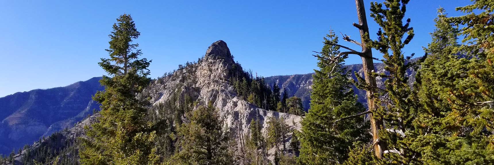 Cockscomb Ridge/Peak | Mt Charleston Wilderness | Spring Mountains, Nevada