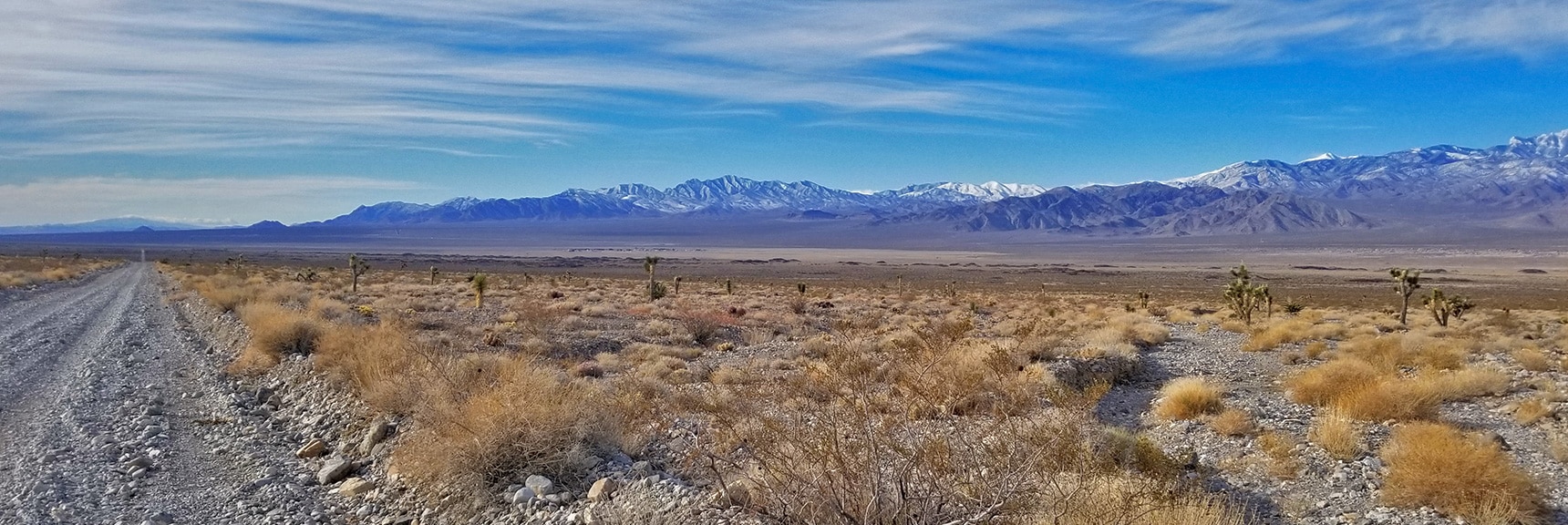 La Madre Mountains Wilderness from Alamo Road | Cow Camp Road | Sheep Range | Desert National Wildlife Refuge, Nevada