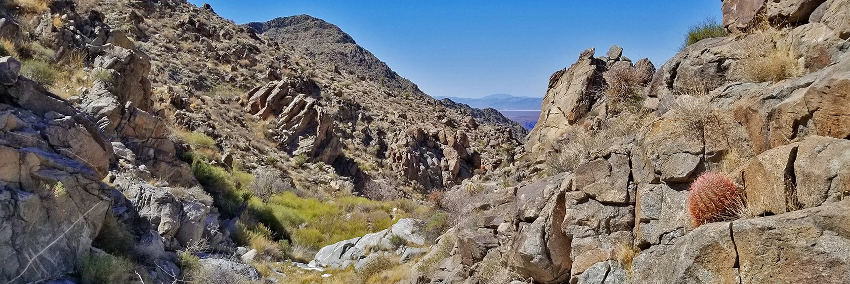 View Down Upper Horse Thief Canyon to Lake Mead and Beyond. | Horse Thief Canyon Loop | Mt. Wilson | Black Mountains | Lake Mead National Recreation Area, Arizona