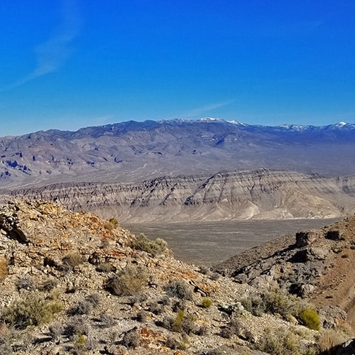 Sheep Range | Thumbnail | Las Vegas Area Trails