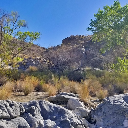 Horse Thief Canyon Loop, Arizona | Lake Mead National Recreation Area, Arizona