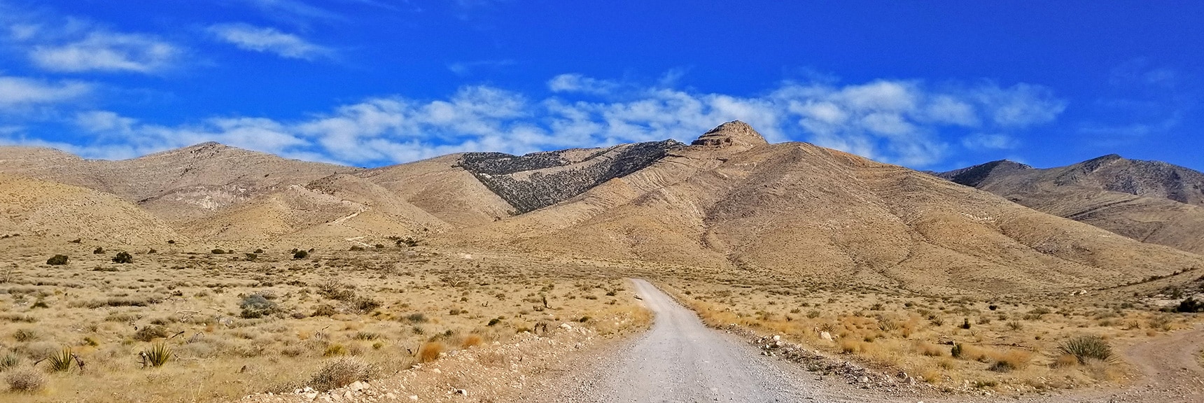 Heading Up Potosi Mountain Road | Potosi Mountain Spring Mountains Nevada