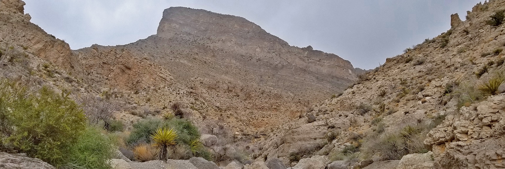 Turtlehead Peak from Rattlesnake Trail in gateway Canyon | Kraft Mountain Loop | Calico Basin, Nevada