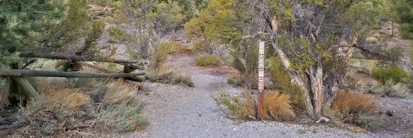 Sawmill Trail Loop Hiker's Trailhead | Sawmill Trail to McFarland Peak | Spring Mountains, Nevada