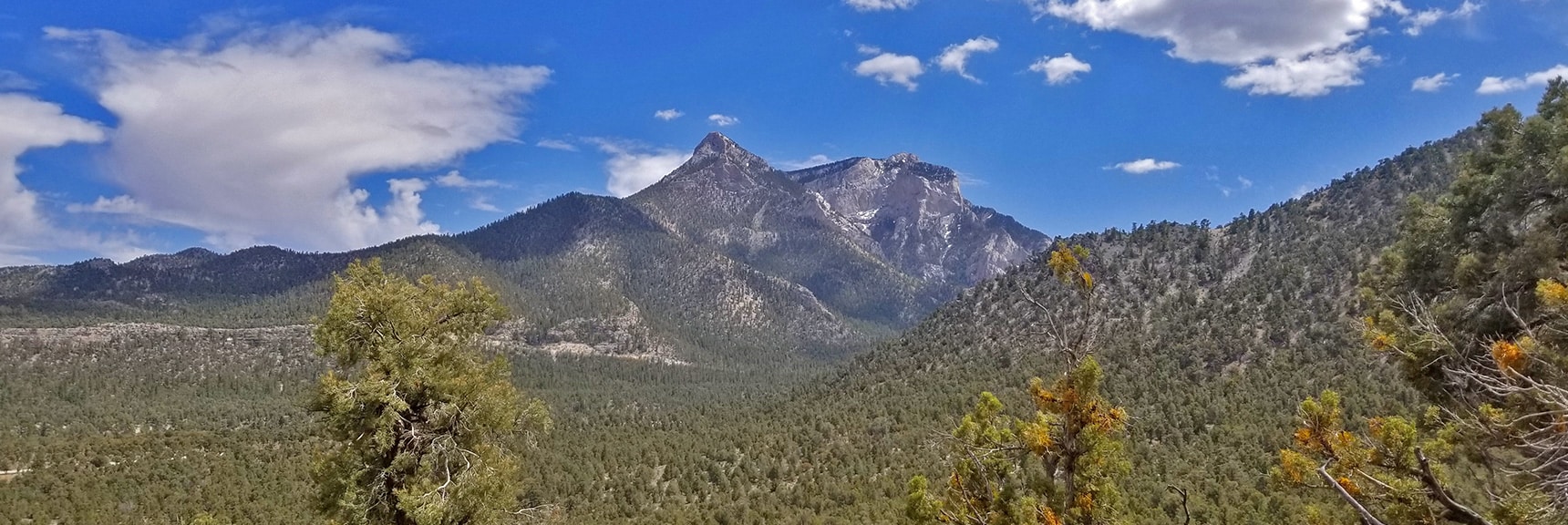 Mummy Mountain's Head Viewed from an Initial Rise on the Mud Springs Loop Trail | Sawmill Trail to McFarland Peak | Spring Mountains, Nevada