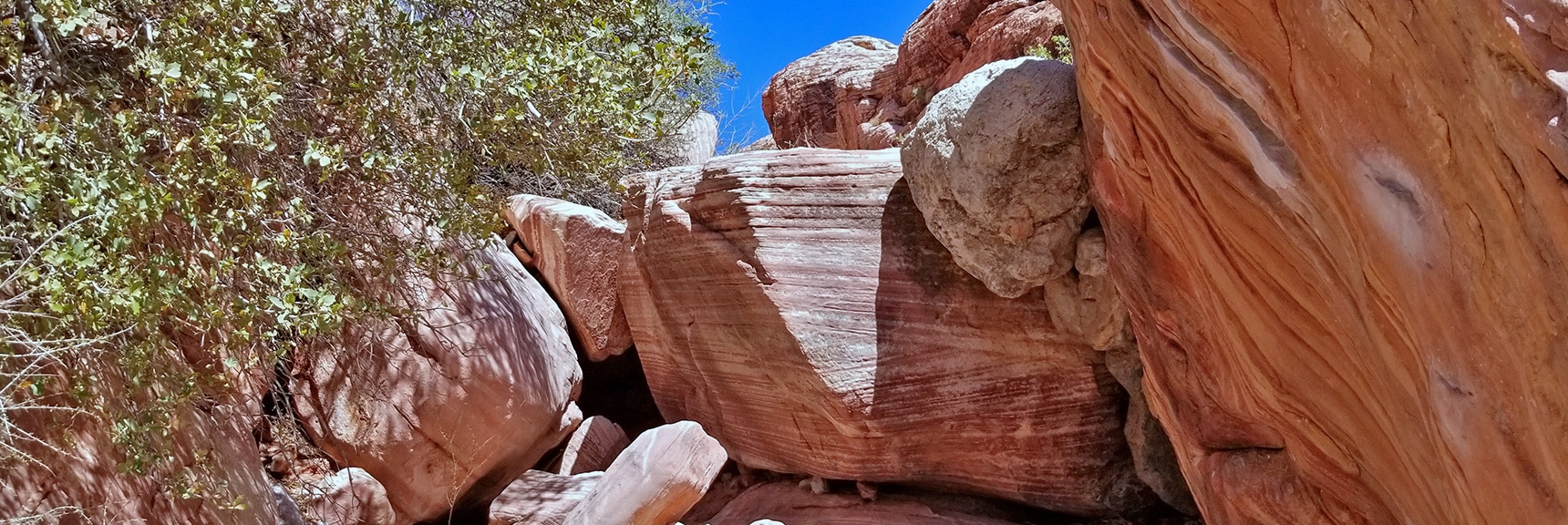 Finding Routes Around Obstacles in Gateway Canyon | Kraft Mountain Loop | Calico Basin, Nevada