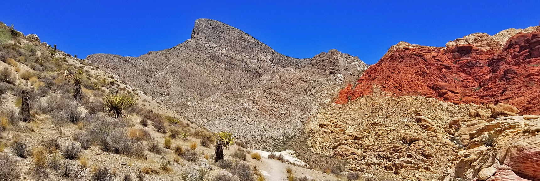 Looking Down the Kraft Mountain Loop Toward Turtlehead Peak | Kraft Mountain Loop | Calico Basin, Nevada