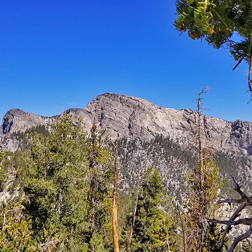 McFarland Peak via Bristlecone Pine and Bonanza Trails, Lee Canyon, Spring Mountains, Nevada