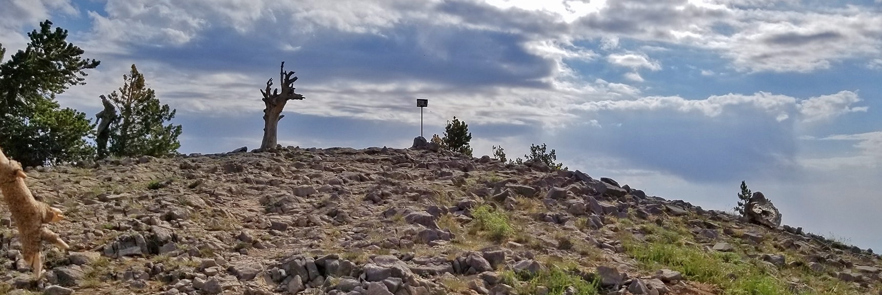 Arrival at Griffith Peak Summit - Summit Box on Pole | Sexton Ridge Descent from Griffith Peak, Mt. Charleston Wilderness, Spring Mountains, Nevada