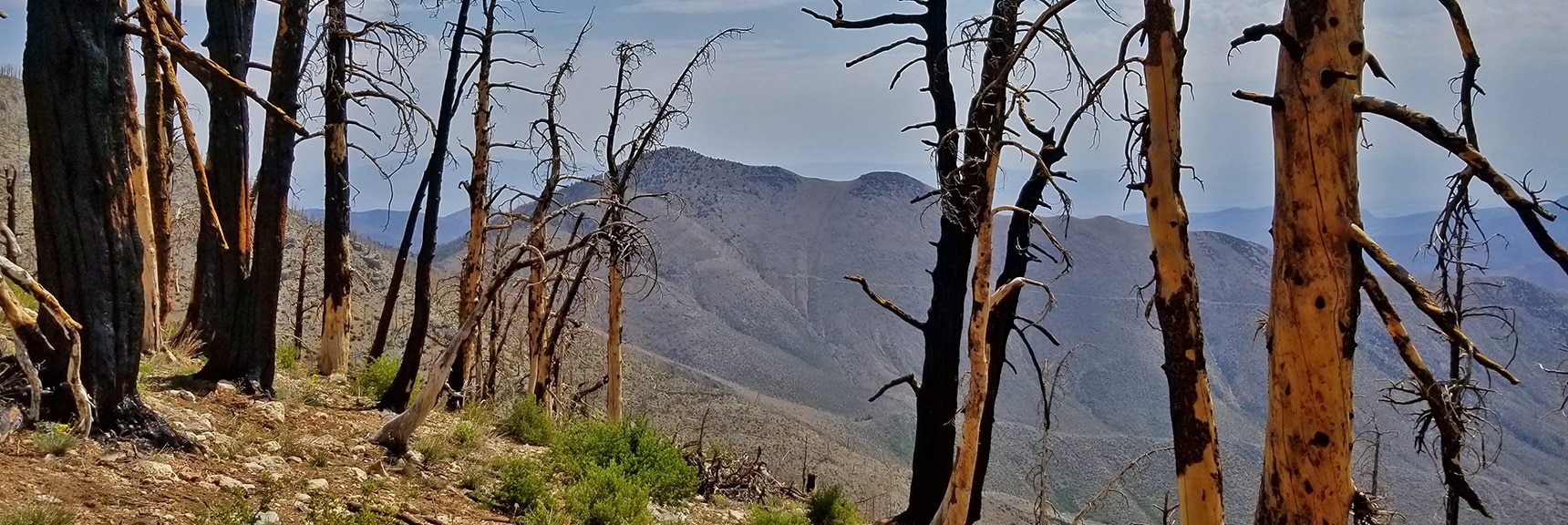 Harris Mountain Viewed from About 1,500ft Below Griffith Peak on Sexton Ridge. | Sexton Ridge Descent from Griffith Peak, Mt. Charleston Wilderness, Spring Mountains, Nevada