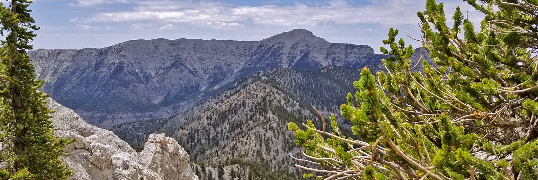 Charleston Peak and the North Ridge of Kyle Canyon from Mummy Mt. NW Cliffs | Mummy Mountain NW Cliffs | Mt Charleston Wilderness | Spring Mountains, Nevada