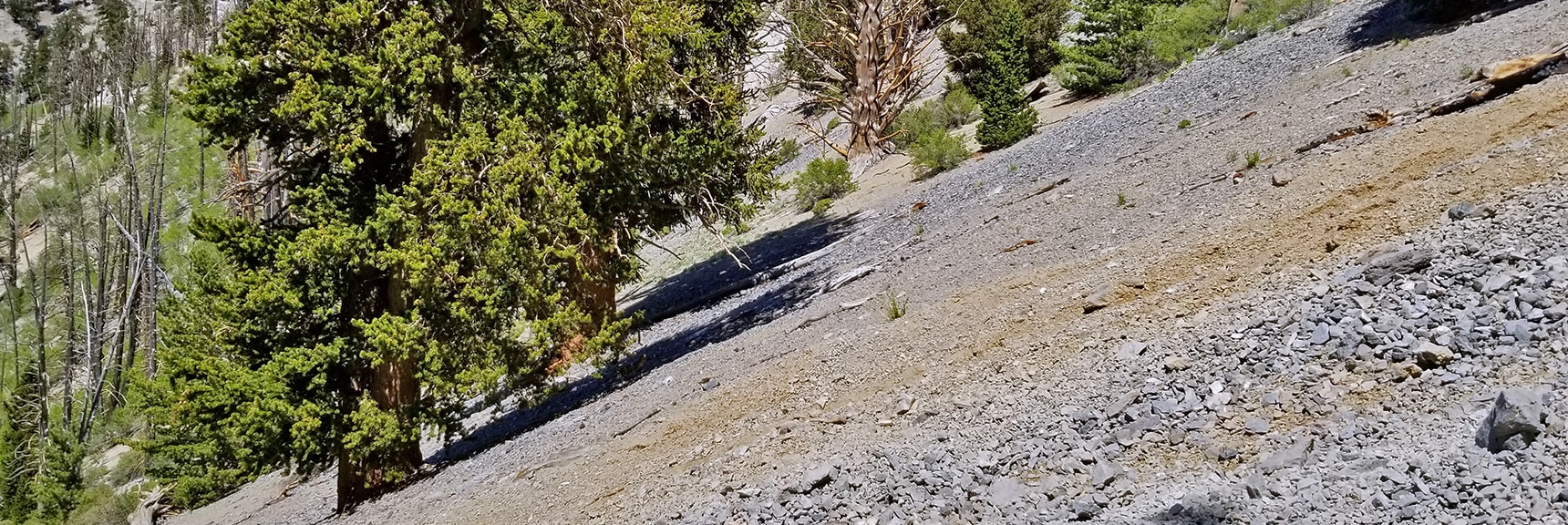 Angle of Ascent on the "Horrifying Half-Mile" Avalanche Slope. | Mummy Mountain NW Cliffs | Mt Charleston Wilderness | Spring Mountains, Nevada