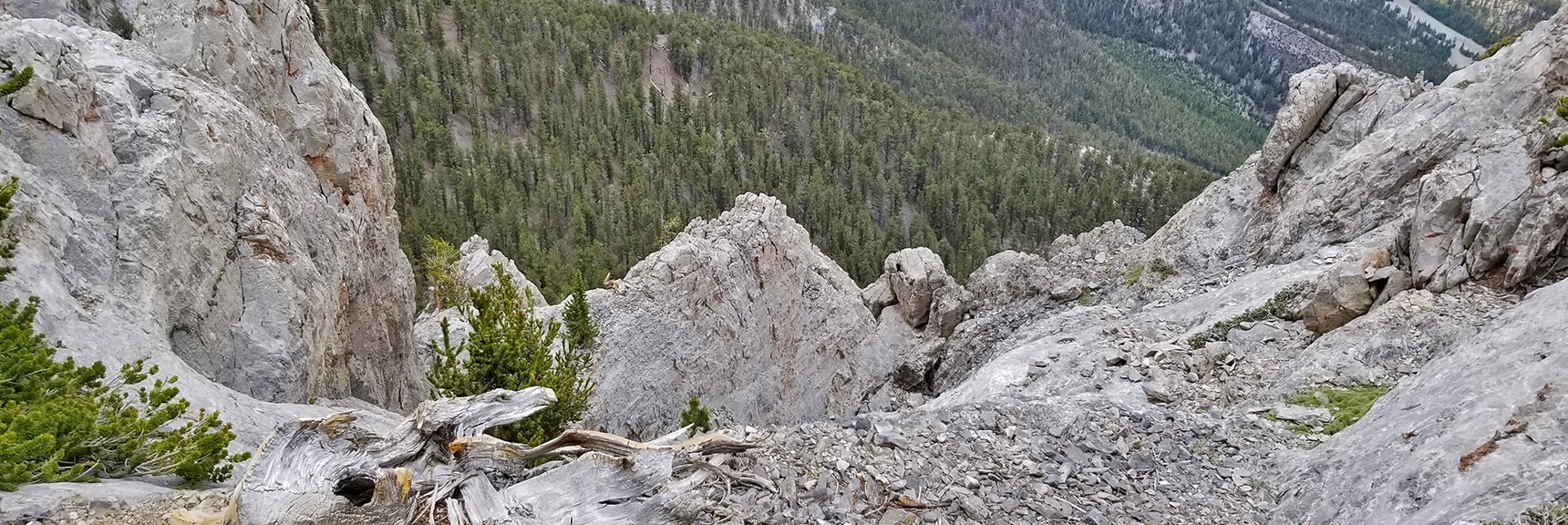 Looking Over the Ledge Down Mummy's NW Cliffs | Mummy Mountain NW Cliffs | Mt Charleston Wilderness | Spring Mountains, Nevada