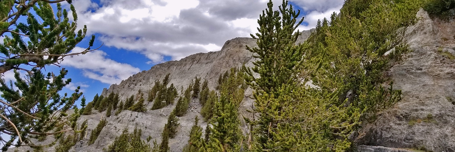 Total Solitude in the Spot. Nobody Comes Here Even on the Busiest Days. | Mummy Mountain NW Cliffs | Mt Charleston Wilderness | Spring Mountains, Nevada